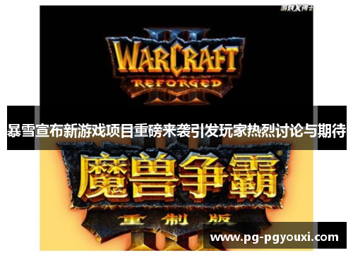 暴雪宣布新游戏项目重磅来袭引发玩家热烈讨论与期待