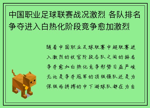 中国职业足球联赛战况激烈 各队排名争夺进入白热化阶段竞争愈加激烈