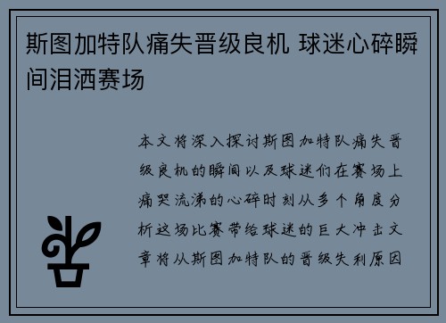 斯图加特队痛失晋级良机 球迷心碎瞬间泪洒赛场