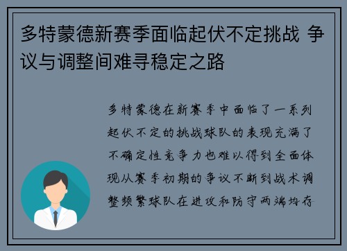 多特蒙德新赛季面临起伏不定挑战 争议与调整间难寻稳定之路