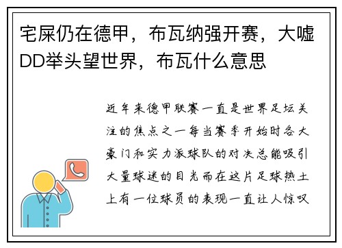 宅屎仍在德甲，布瓦纳强开赛，大嘘DD举头望世界，布瓦什么意思
