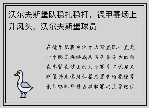 沃尔夫斯堡队稳扎稳打，德甲赛场上升风头，沃尔夫斯堡球员