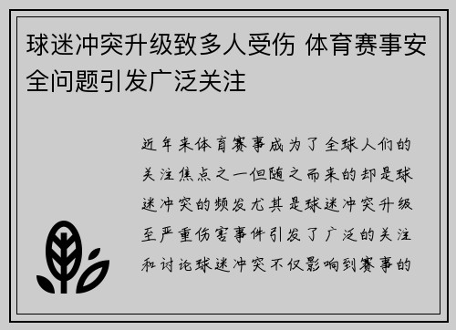 球迷冲突升级致多人受伤 体育赛事安全问题引发广泛关注